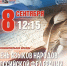 8 сентября в 12:15 в Библиотеке им. В.М. Мазаева пройдёт познавательная беседа «День языков народов Российской Федерации» - Администрация города