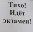 В Барнауле продолжается дополнительный период сдачи ОГЭ - Комсомольская Правда