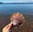 2026-09-07 1.10.40 PM.jpg - Primorye24.Ru