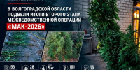 В регионе подвели итоги второго этапа операции «Мак-2026» - Быково-медиа