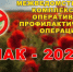 В Саратовской области полным ходом идет операция «Мак - 2026» - Комсомольская правда