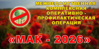 В Саратовской области полным ходом идет операция «Мак - 2026» - Комсомольская правда