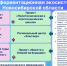 В Новосибирской области 100% школьников 6-11 классов охвачены профориентацией - Министерство образования
