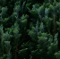 image - GazetaRB.Ru