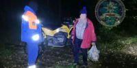 Заплутавшего мужчину вывели из леса в районе СНТ Вуокса - ЛенТВ24