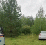 В Сосновском округе четыре часа искали сборщицу грибов - Агентство новостей Доступ