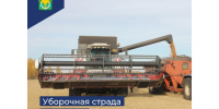 Уборочная страда перевалила за экватор. - Шатровский муниципальный округ
