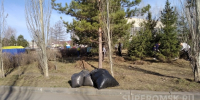 Шелест назвал дату общегородского субботника в Омске - СуперОмск