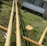 img - Администрация Крымского района