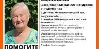 Пенсионерка ушла в лес в Калужской области и не вернулась - Телерадиокомпания Ника