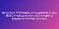 Продавцам Wildberries, пострадавшим от атак БПЛА: утверждены налоговые отсрочки и приостановление проверок - Салаватский район