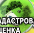 Извещение о размещении проекта отчета по итогам определения кадастровой стоимости объектов недвижимости. - Администрация Ребрихинского района