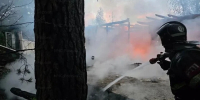 Огнеборцы потушили четыре пожара в Тульской области за сутки - ИА Тульская служба новостей