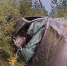 background - Kaluga-Poisk.Ru