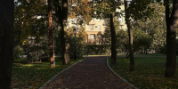 В Петербурге наконец-то вышло солнце: дожди прекратились, но радоваться теплу пока рано - Neva.Today