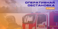 Оперативная                                обстановка за минувшую                                           неделю - ГУ МЧС Ульяновской области