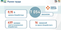 Уровень безработицы в Набережных Челнах составил 0,15% - ИА Татар-информ