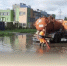 Комбинат благоустройства откачивает воду с затопленных участков дорог и дворовых территорий - Балаковские вести