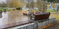 Фото: News29 - News29.Ru