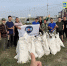 Общегородской субботник - МинГОиОБЖН РС(Я)