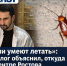 «Они умеют летать»: биолог объяснил, откуда в центре Ростова взялись огромные тараканы - Bloknot-Rostov.Ru
