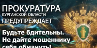 Осторожно: мошенники и провокации в период выборов. - Администрация г. Шадринска