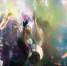Волгоградцы в День города поиграют в мужские игры и окунутся в краски - Газета Городские вести