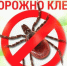 "Профилактика клещевых инфекций". - Администрация г. Клинцы