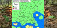 Сводка пожароопасности на 06.09.2026 - Министерство лесного хозяйства