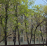 Два нежилых помещения на улице Руставели доступны на городских аукционах - Комсомольская Правда