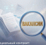 Как донским выпускникам найти работу с господдержкой - Октябрьский район