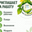 МДОУ 10 приглашает на работу! - Комитет по образованию