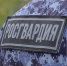 Росгвардейцы задержали неадекватную пензячку, выбежавшую на проезжую часть - Росгвардия