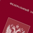 Принят закон, направленный на повышение социальной защищенности военнослужащих, сотрудников некоторых правоохранительных органов и членов их семей - Минкультуры