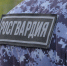 Ночью пензячка выбежала на дорогу и начала снимать одежду - Пенза-Обзор