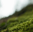 image - GazetaRB.Ru