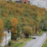 Ждать ли бабьего лета в Заполярье? - SeverPost.ru