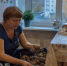 Не нужны ни погреб, ни лавровый лист: просто храню картофель этим способом прямо в квартире - до весны ни одного ростка - Pg12.Ru