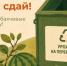 В Московской области запустили акцию по сбору яблок и бахчевых - MosRegToday.Ru