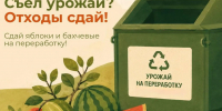 В Московской области запустили акцию по сбору яблок и бахчевых - MosRegToday.Ru