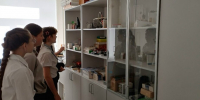 Физика — это просто и увлекательно: как в «Точке роста» МКОУ «Центр образования Федоровский» открывают мир науки - Комитет образования