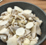 Хозяйка «грибной фермы» из Пскова рассказала о вкусе выращенных ею вешенок - Псковская правда