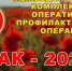В регионе стартовал третий этап оперативно-профилактической операции «Мак-2026» - Газета Аткарская газета