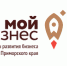В Приморье социальному бизнесу помогут найти новые точки роста - ГТРК Владивосток