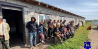 Рейд в Красноярском районе: задержаны нелегальные работники, семерых выдворят из страны - Волга Ньюс