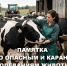 ц.jpg - Киренский район