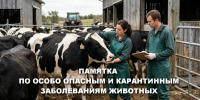 ц.jpg - Киренский район