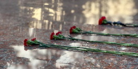 Ровно 83 года назад Навлинский район освободили от фашистов - БрянскToday.Ru