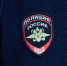 Двое туляков избили деревянной палкой мужчину и похитили телефон - ТК Первый Тульский
