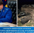 В Брянской области будут судить покалечившего пассажира автопьяницу без прав - Сетевое издание Новости Брянска
